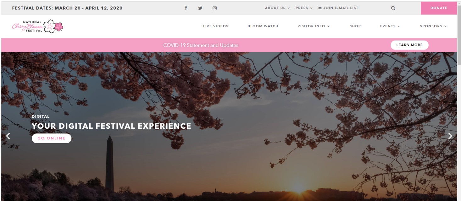 樱花的日文怎么说,樱花的英文是什么