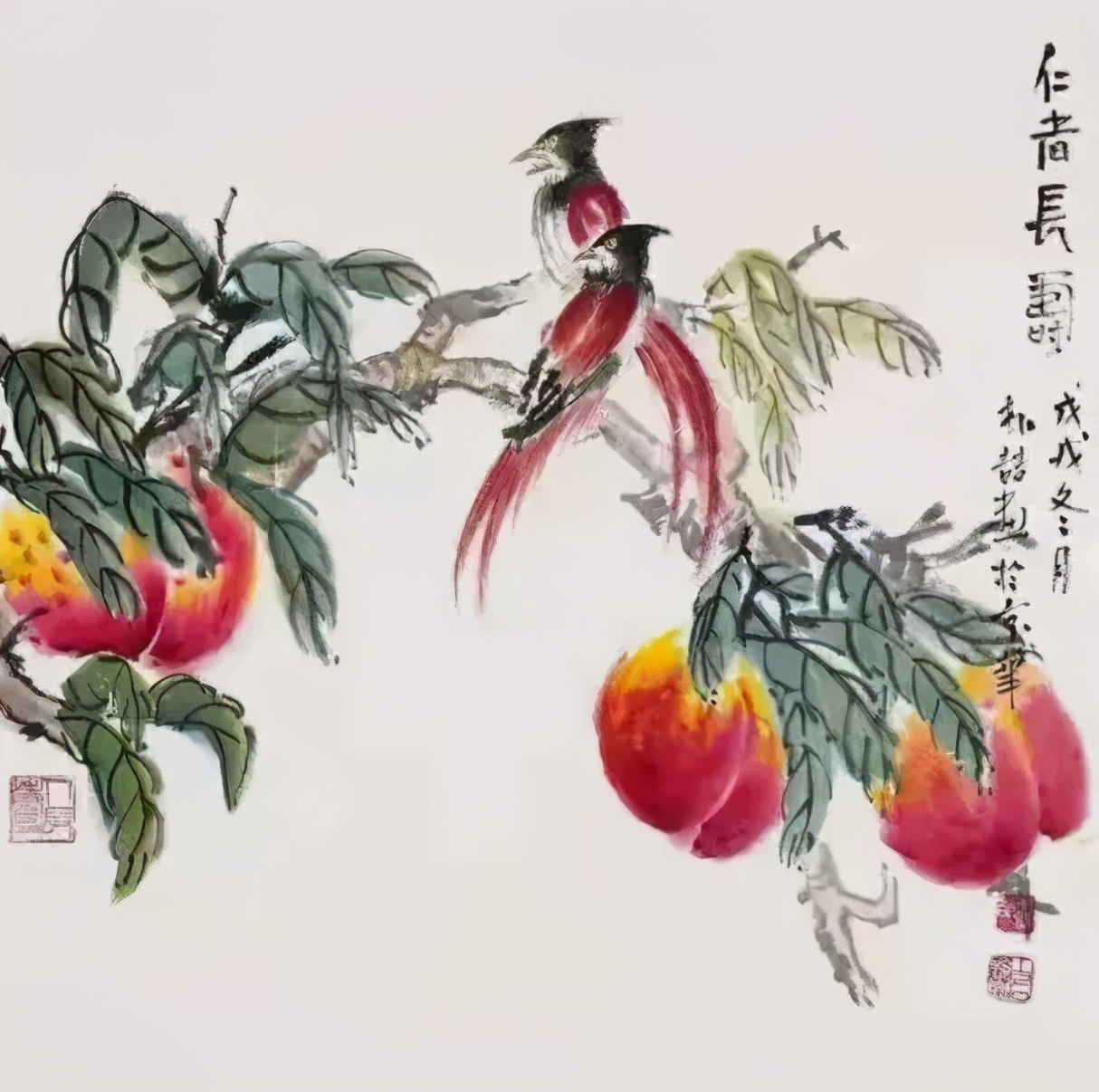 胃肠超声造影检查肠胃准确吗,胃肠镜检查和胃肠超声造影