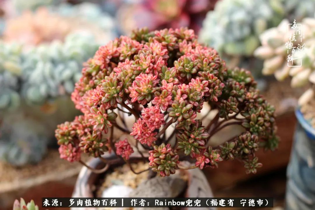 岁月无波澜余生不悲欢是啥意思,愿你岁月无波澜敬我余生无悲欢