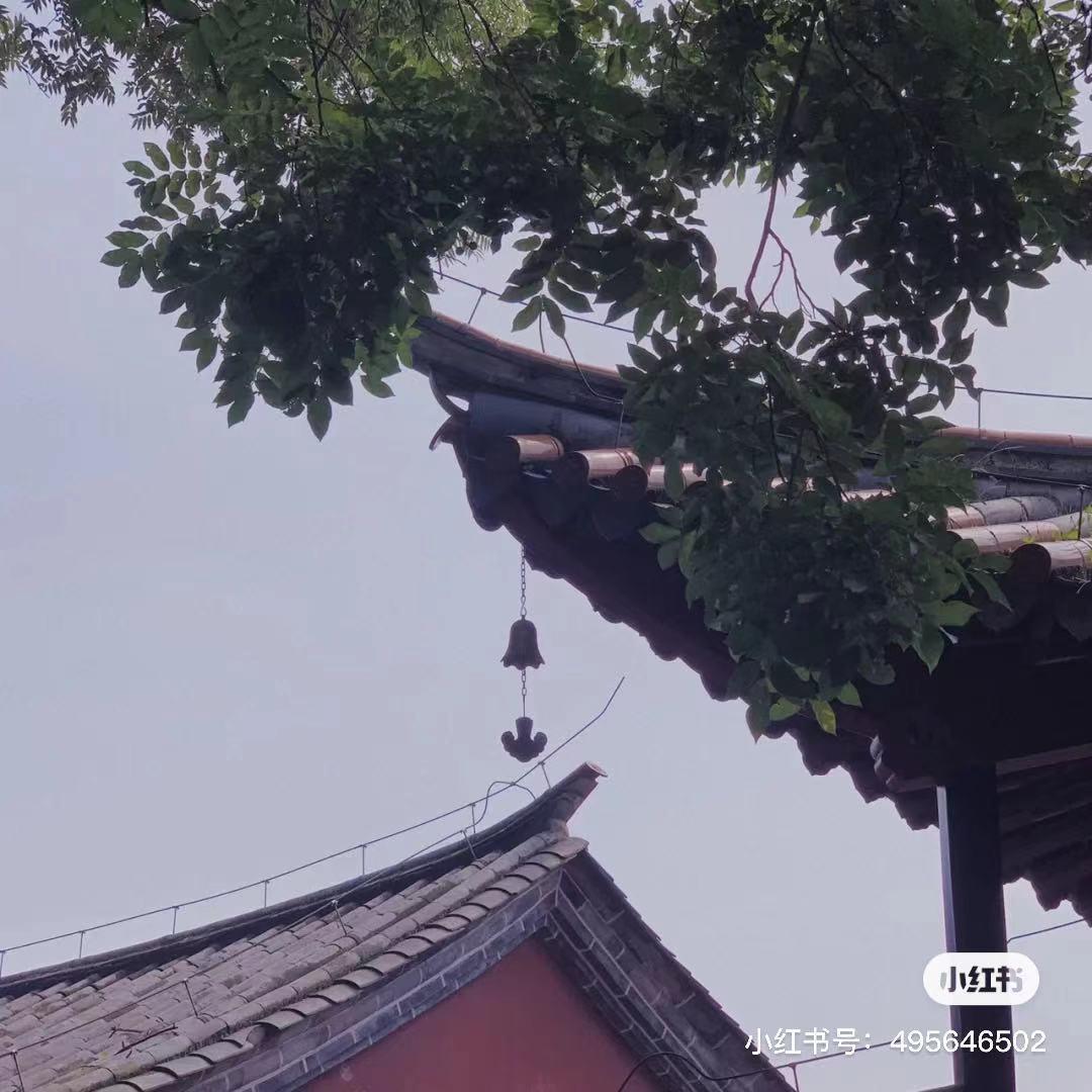 昆明避暑冷惨了外省人,昆明过冬真实感受