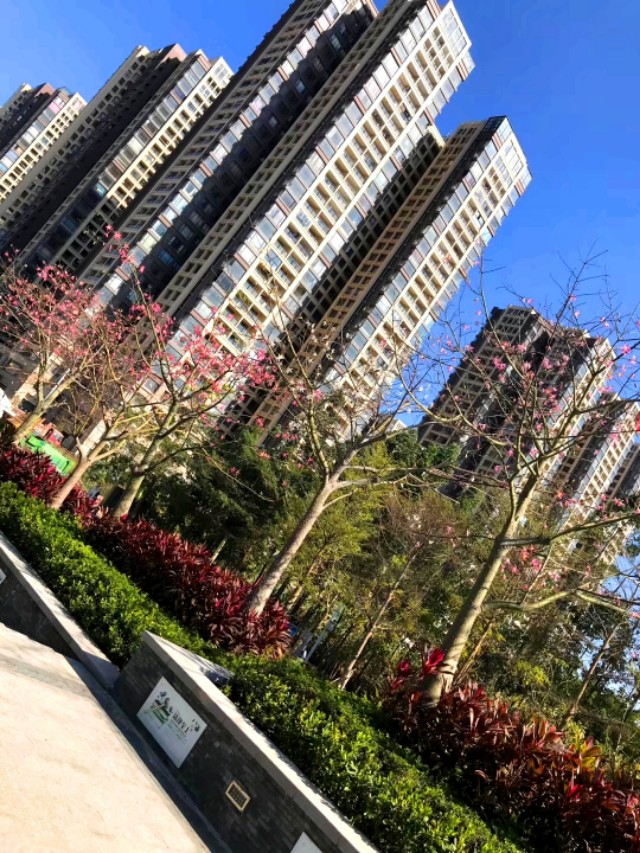 传说中的金沙,金沙世纪城最好小区