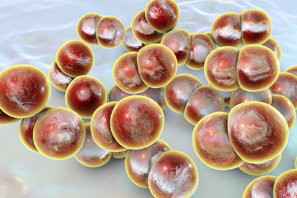 西藏淋病发病率高是什么原因,淋病发病率和气候有关系吗