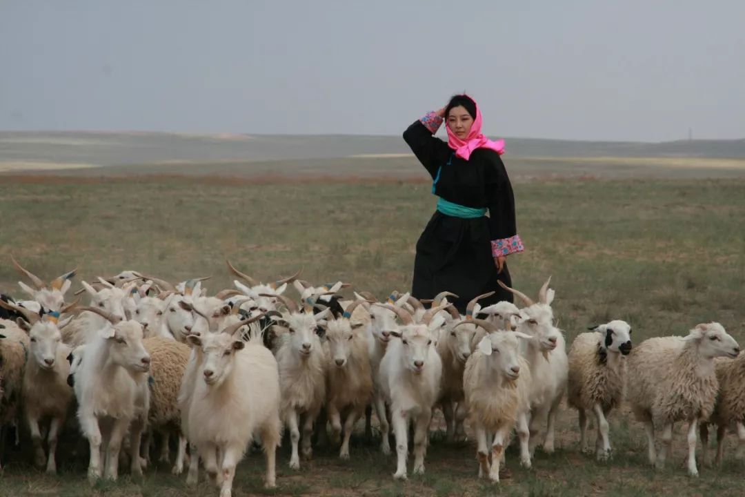 中国阿玛尼衣服代工厂,中国羊绒衫多少钱