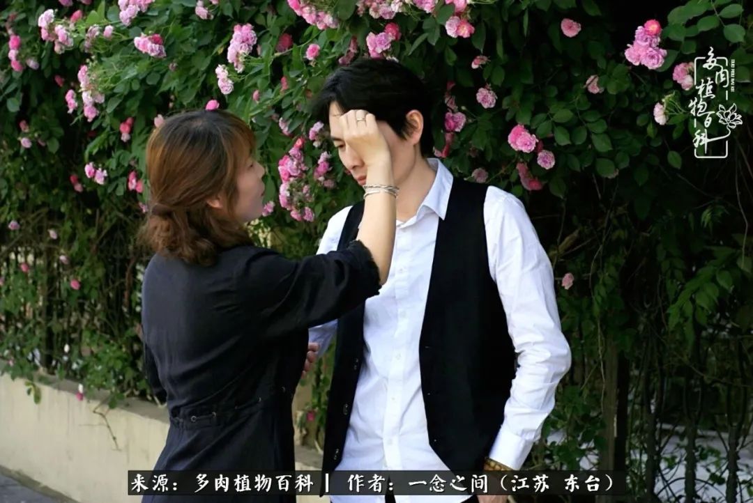 遇见花开蓝莓糖,遇见花开蔬菜沙拉酱