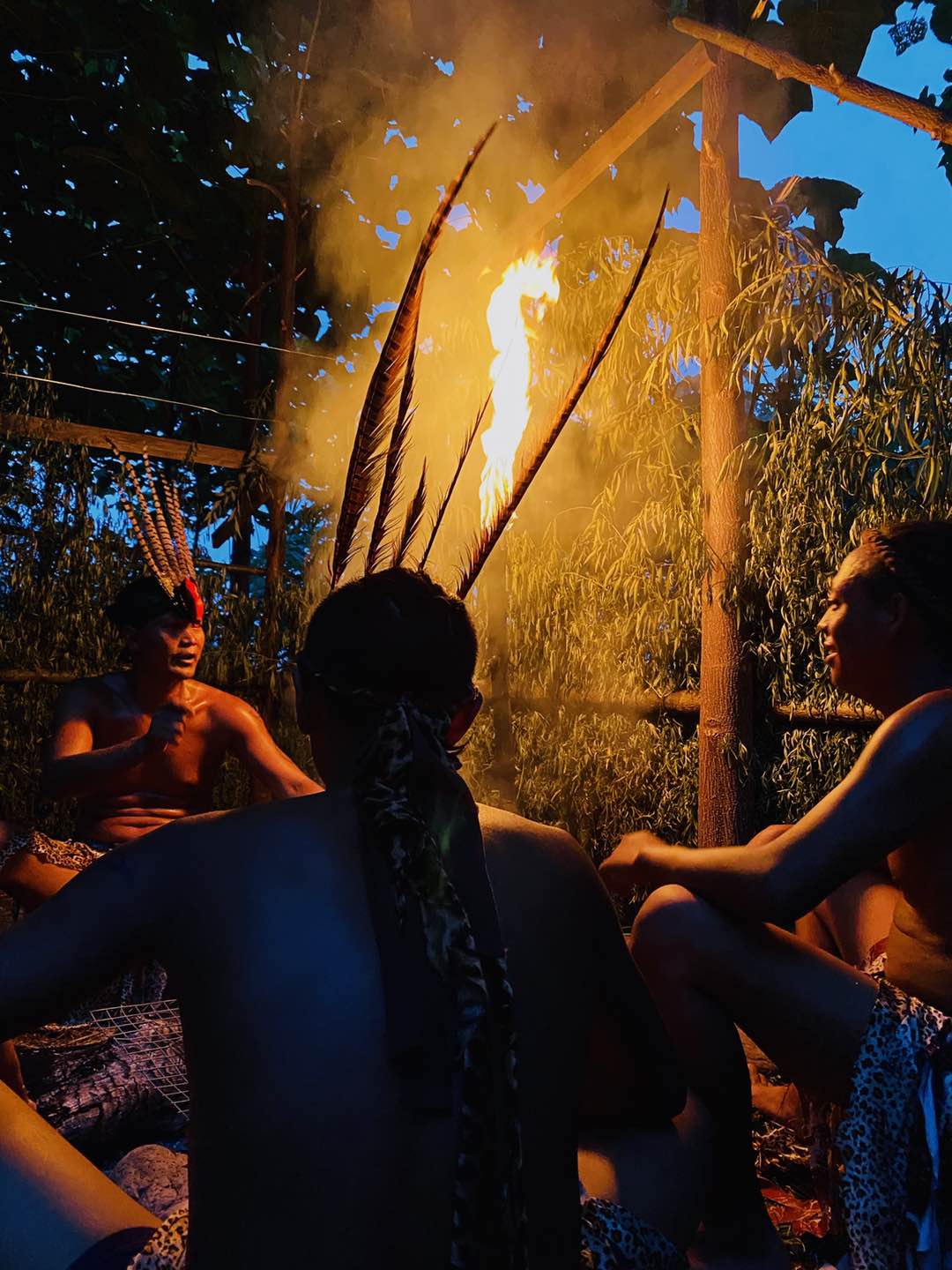 井陉豌豆农庄视频,河北省井陉县豌豆农庄