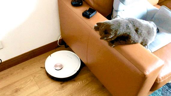 科沃斯扫地机怎么扫地,科沃斯扫地机器人怎么精准清扫