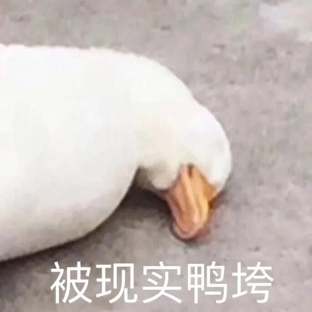 往年炒到天价的香港月饼，今年不香了？