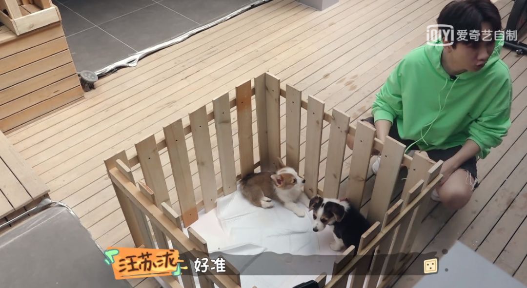 明星购物福利秒杀款,明星捡漏大赏完整视频