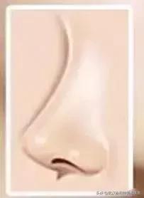 什么样的鼻子好看图片,男生什么样的鼻子最好看