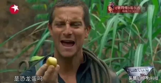 在国外卖皮蛋和咸鸭蛋被抓？歪果警方：不适合人类食用…