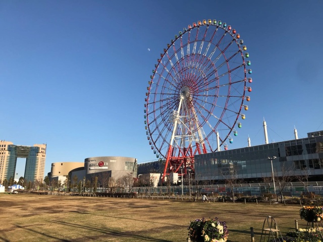 日本东京单人自由行攻略,如何计划日本旅游