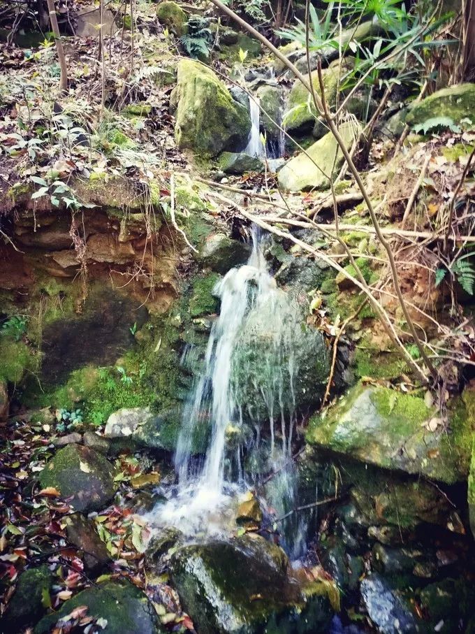 上海自驾舟山桃花岛游路线推荐,从上海去桃花岛如何安排行程
