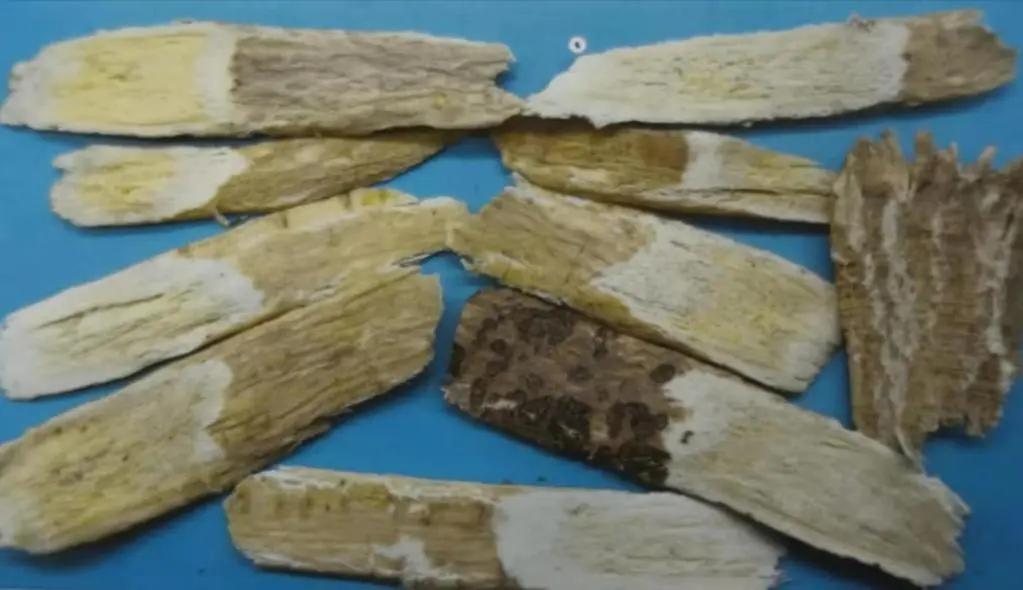 黄芪15克仙鹤草10克泡水喝作用,经常喝黄芪煮水有什么好处