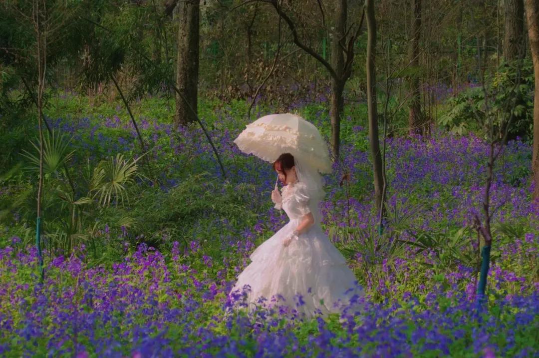 今年必入手的小裙子,比bm便宜的店铺