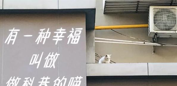 南京必去的四个菜市场,南京最值得打卡的菜市场