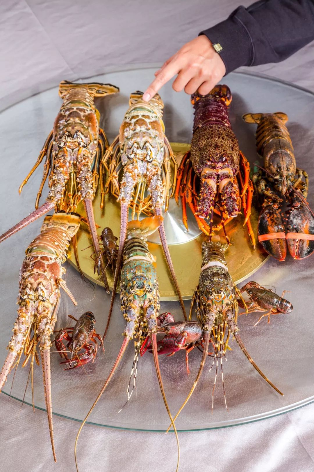 这样吃龙虾简直就是一场味觉盛宴,吃超大龙虾超过瘾