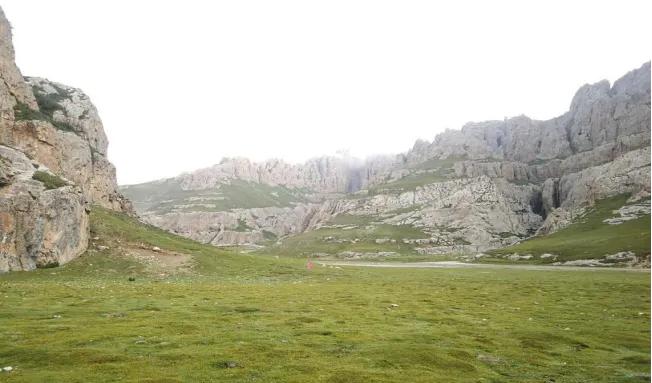 净土天峻高原牧场图片,净土天峻