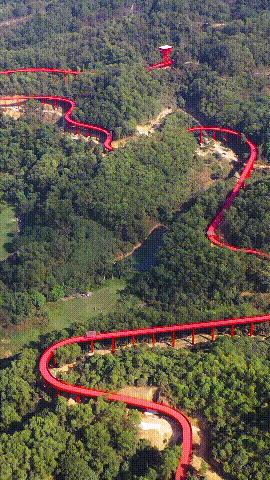 这个春节怎么过一大波攻略来啦,春节期间的最全攻略