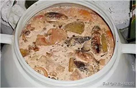 自制环保垃圾酵素危害巨大,厨余环保酵素的制作方法