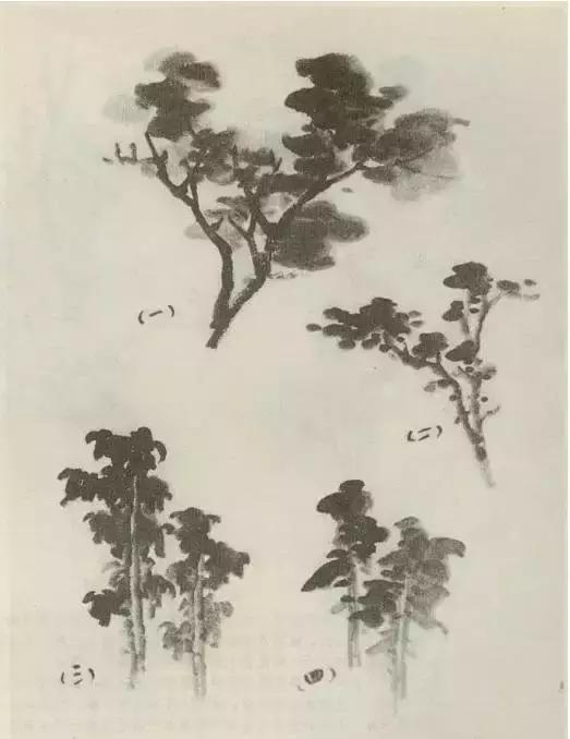 怎么画树最简单而且还最好看,怎么画树才更真实