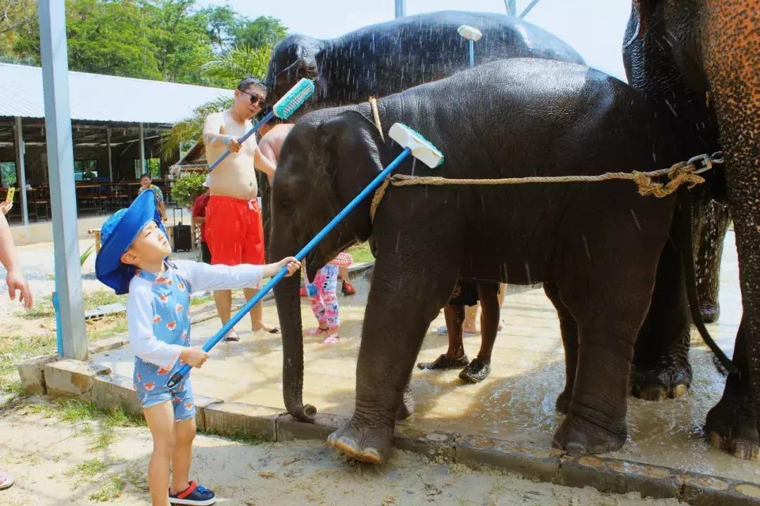 普吉岛7天6晚,普吉岛6天5晚高品质纯玩