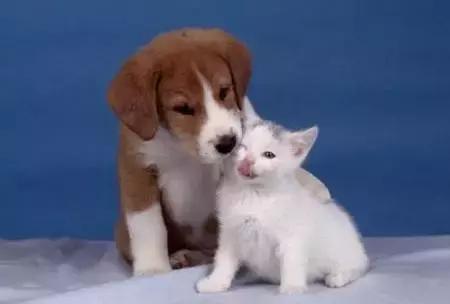 朋友的不同层次的表达,朋友的另外表达方式