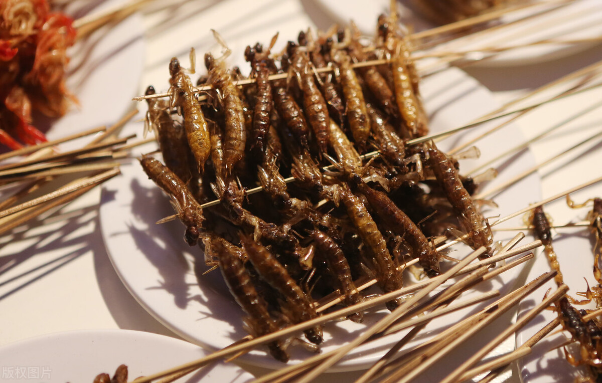 云南为啥都是烧烤,云南烧烤是什么意思