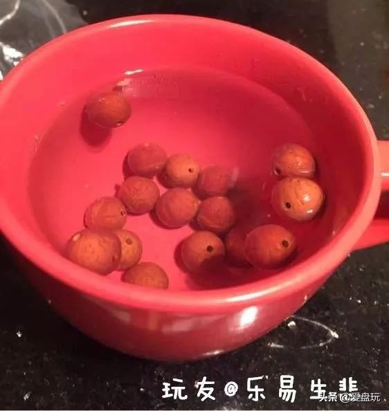 放了2年的凤眼,翻出来,虫子能组一个篮球队了