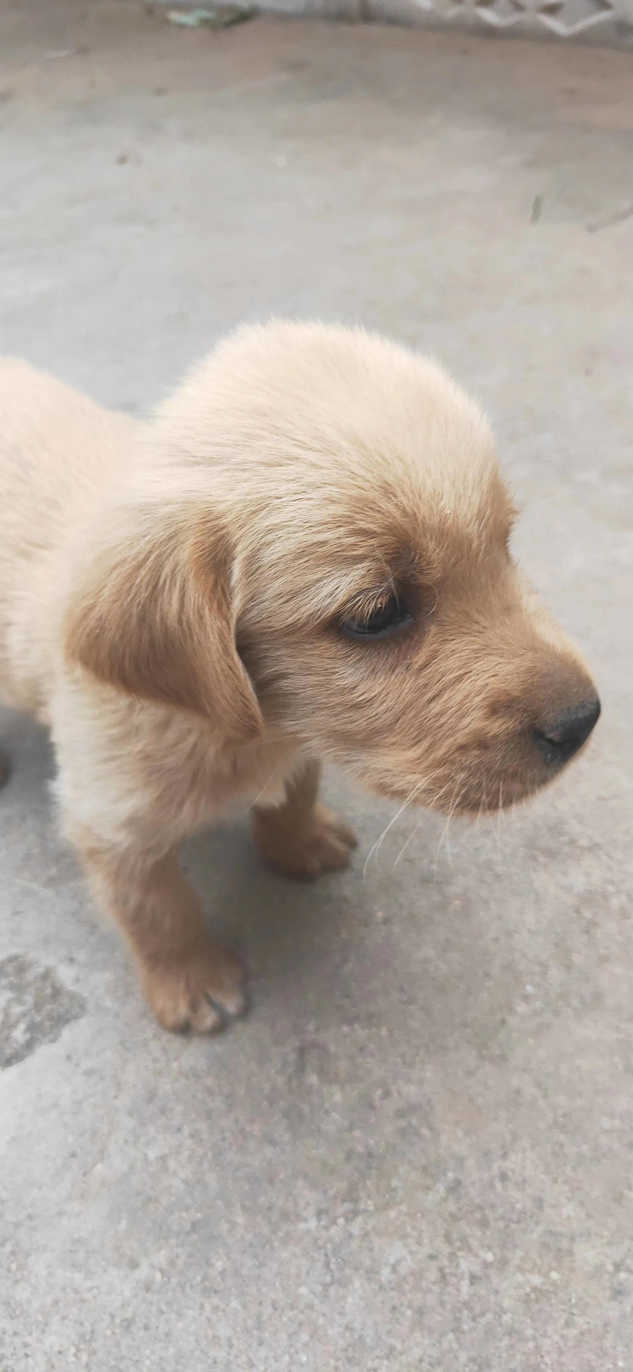 当他选择要放弃你的时候,当他选择抛弃你的那一刻