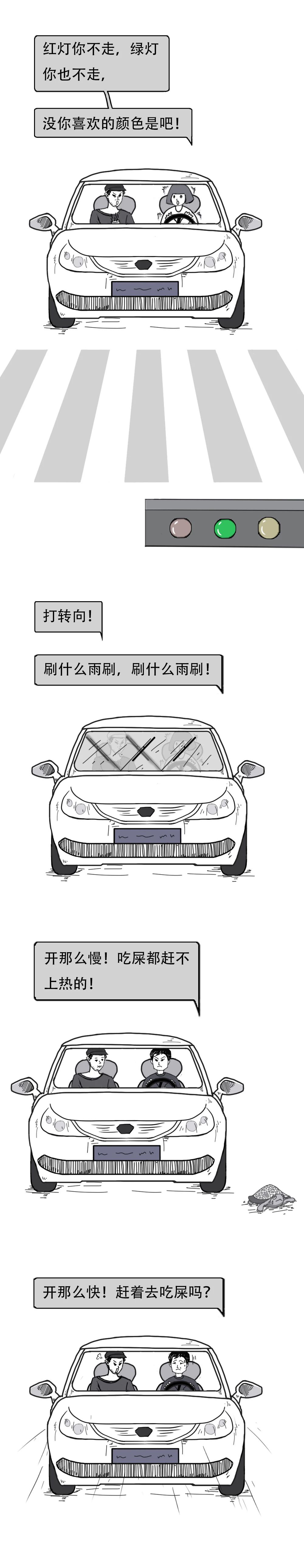 驾照本2016,驾照本大全