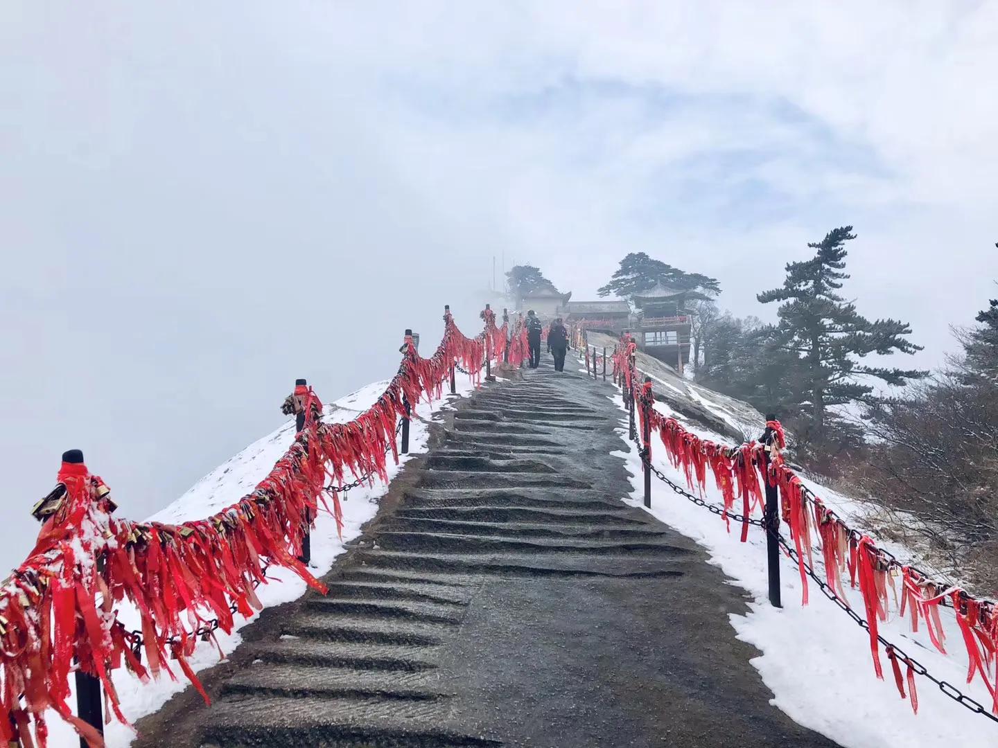 对镜拍九宫格构图,九宫格构图拍婚礼