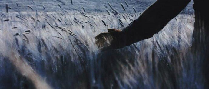 电影角斗士的影评,电影角斗士赏析