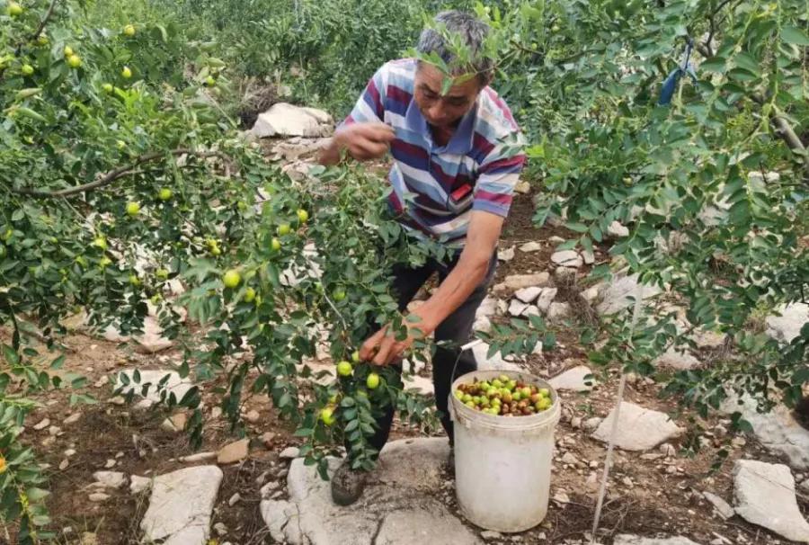 潍坊这5条颜值爆表的自驾线路，藏着美景无数，每一公里都美到极致！