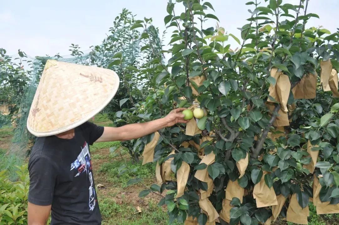 娆洪湝璧涢洩,娆洪洩璧涢湝