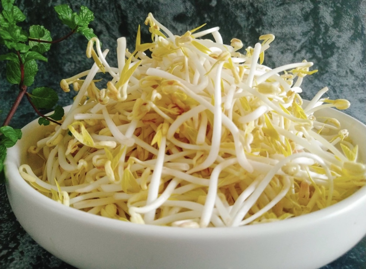 生豆芽温度高长根还是温度低长根,生的豆芽烂是怎么了