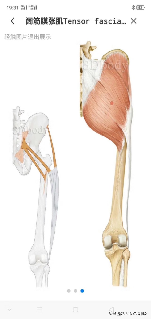 肌肉起止点,肌肉起止点松解
