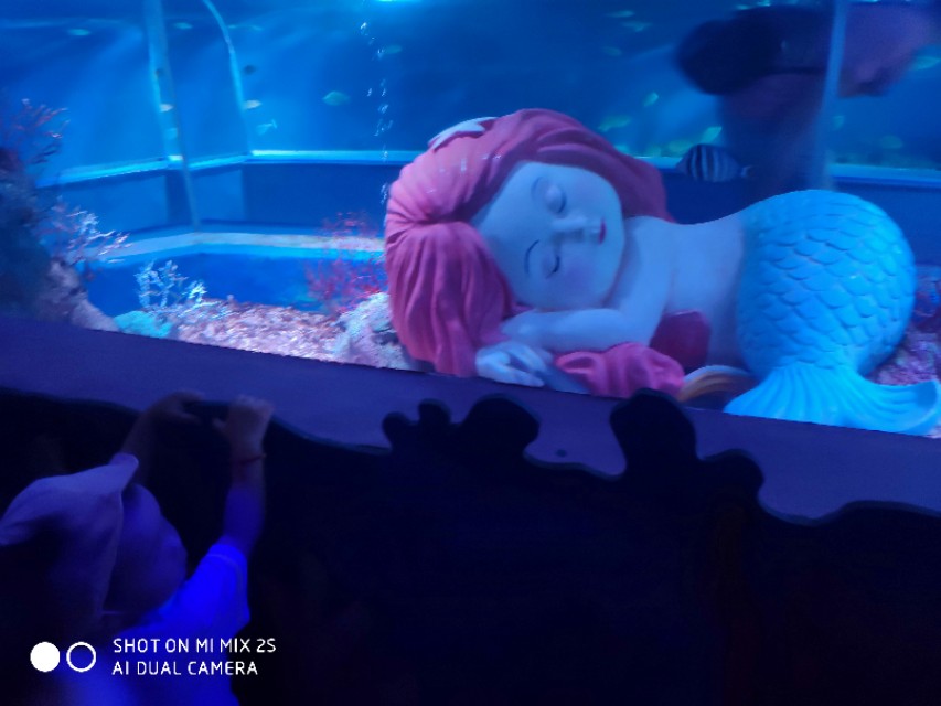 南京海底世界开放时间,南京海洋公园海底世界