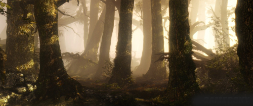 巫师2完整版免费观看,巫师2是中文版吗