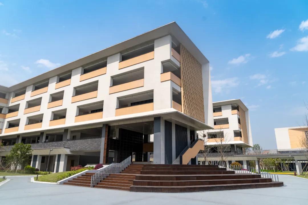 余杭新规划的学校,美翻了的校园