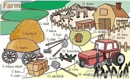 36张图记住所有生活英语单词,33张图记住3500词