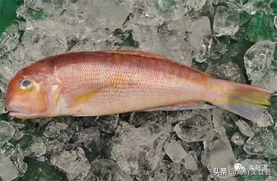 102种海鲜,营养丰富的海鲜有哪些品种