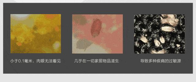 “变态”的日本人居然用140°蒸汽拖地，蒸死细菌和螨虫，真香