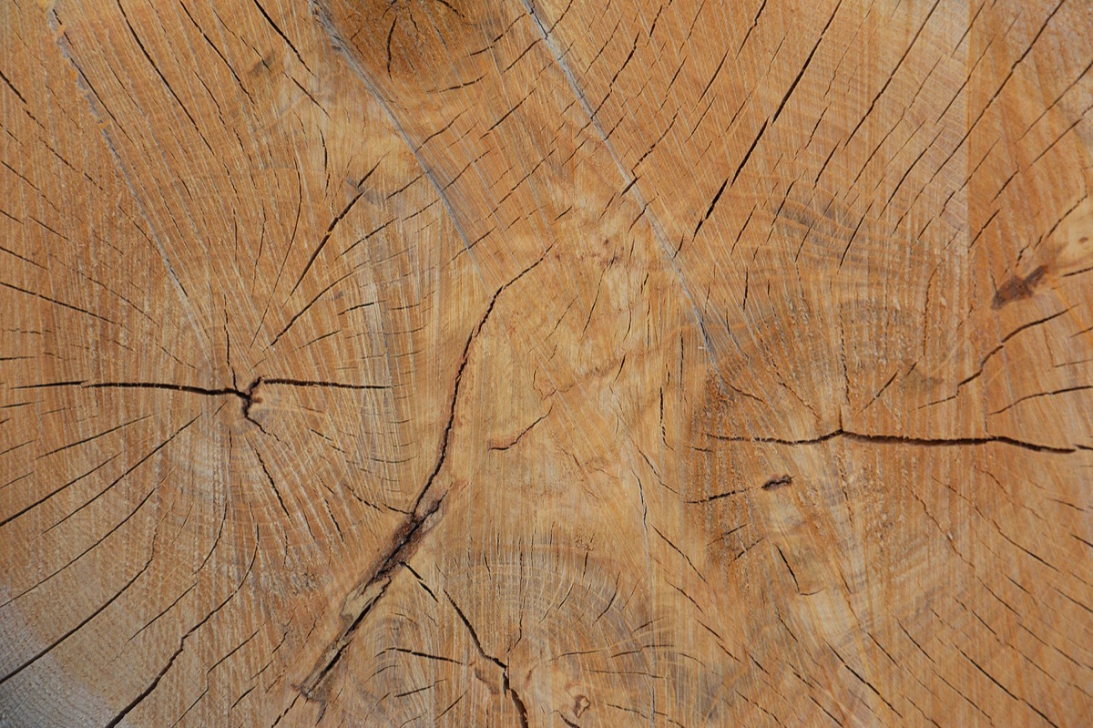 设计师福利模板,设计师必备100件用品