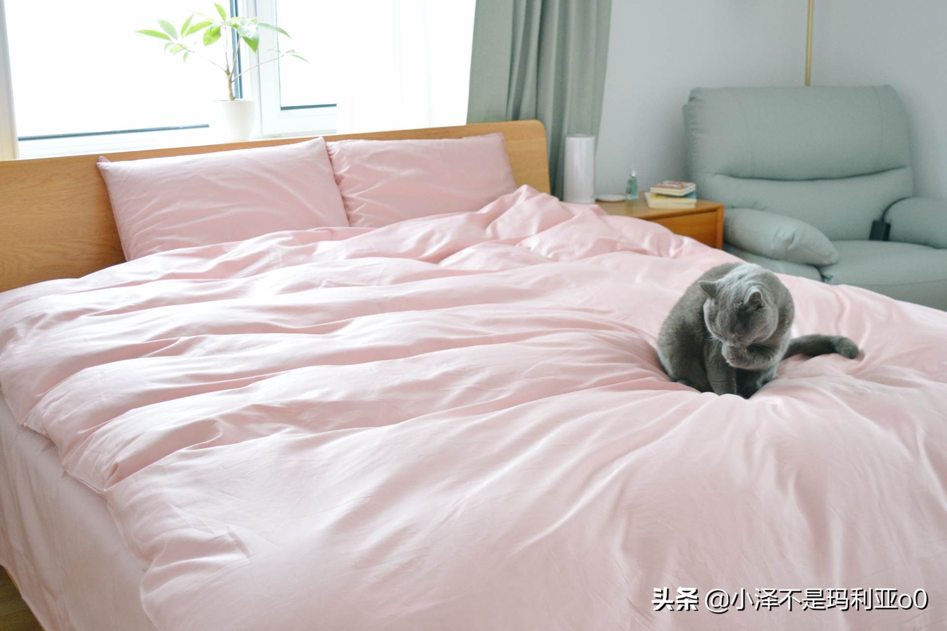 2000元以下的洗烘一体机能买吗,海信6公斤超薄洗烘一体机推荐