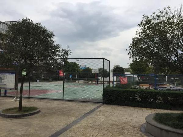 值得收藏的运动器材,运动场地免费开放