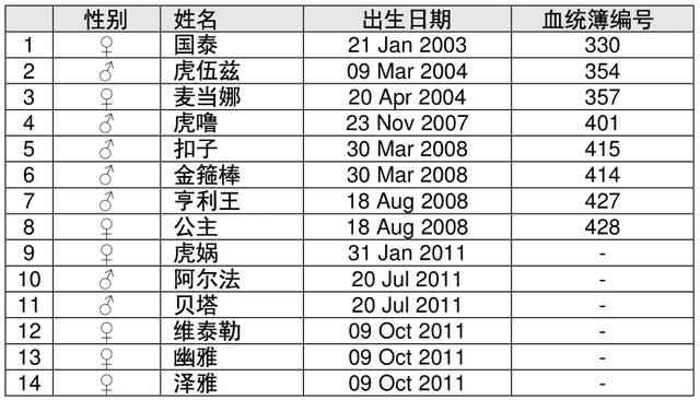 老虎谷的现状,南非老虎谷华南虎野化现状