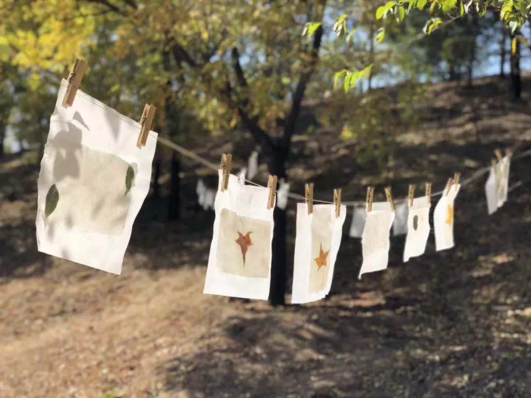 错过第二期北纬45°自然教育国际工作坊不要紧，满满的干货在这里