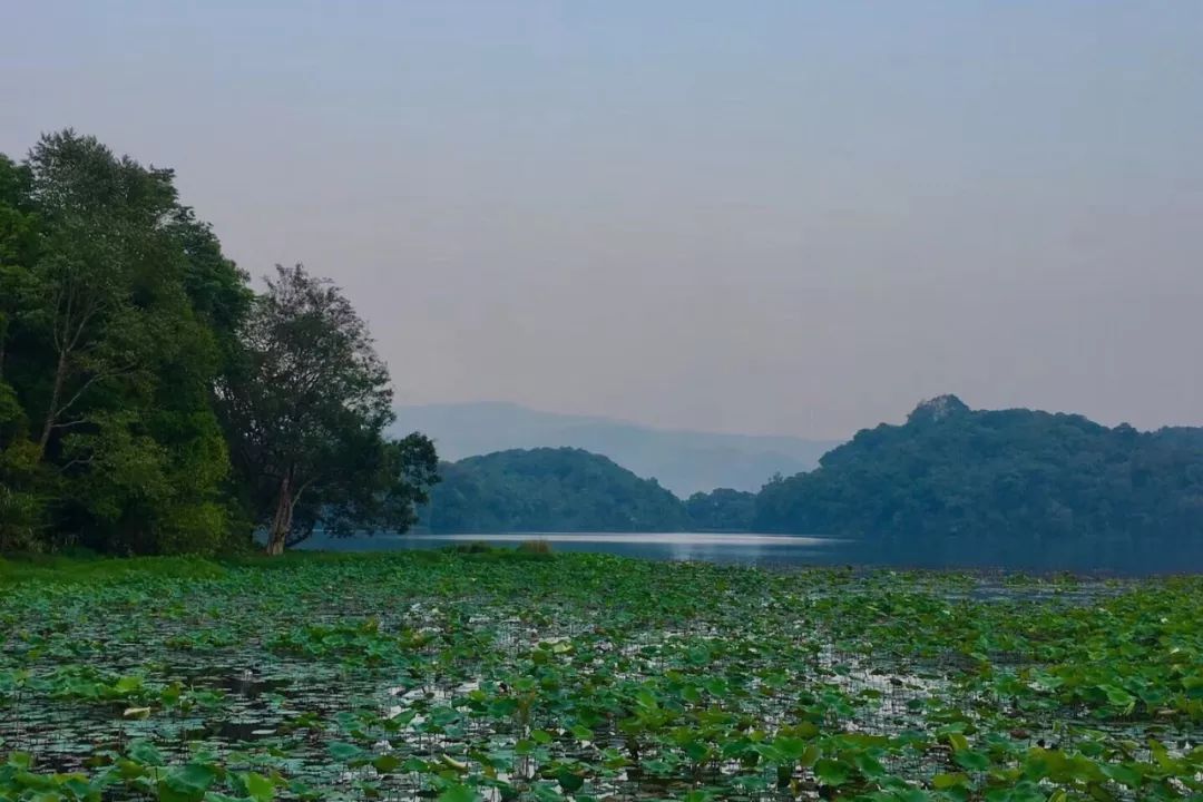 云南临沧风景最美的地方,云南临沧的风景哪里最好呢