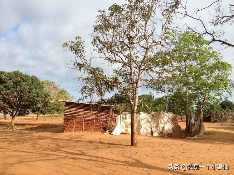 在安哥拉看到黑人在葫芦上做的画，有中国河姆渡风格，买下来了