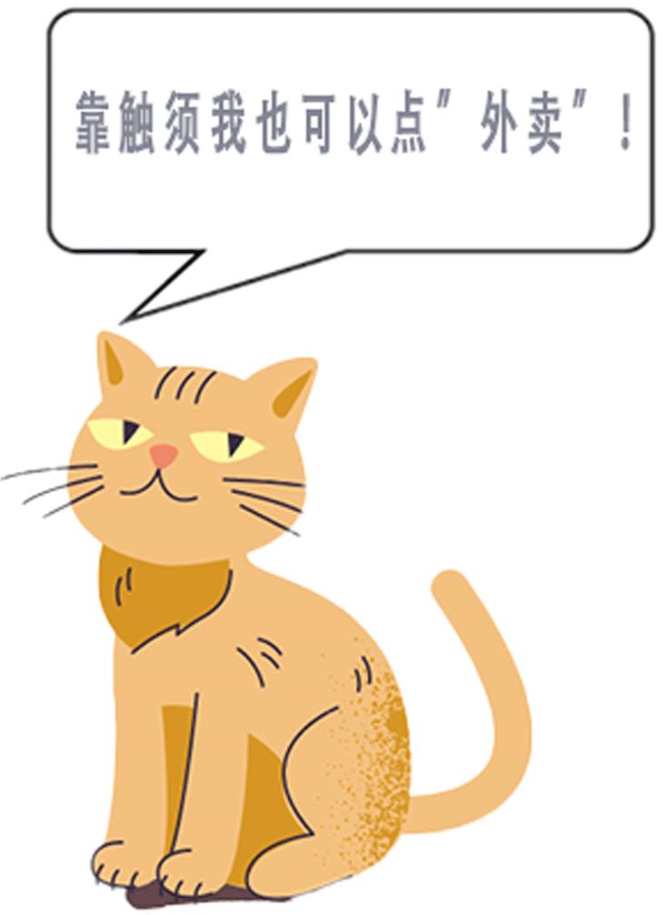 猫咪的天线有什么区别 (猫咪可以自带天线吗)
